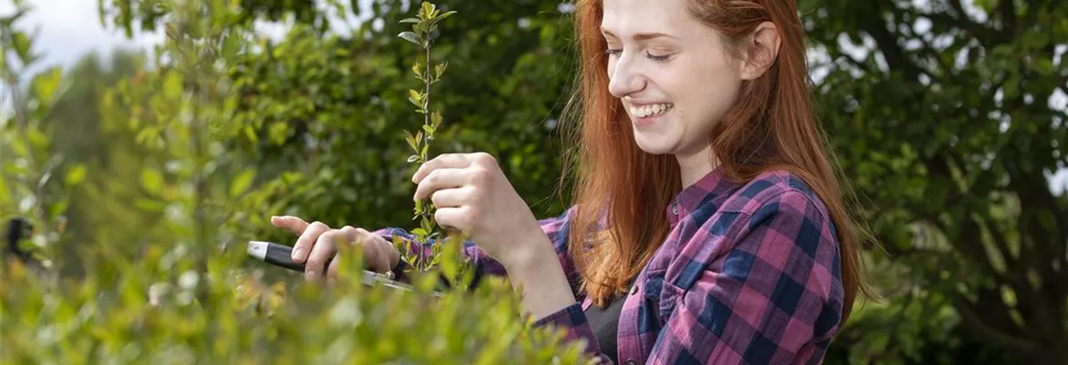 Diese Arbeiten sind jetzt im Garten noch nötig